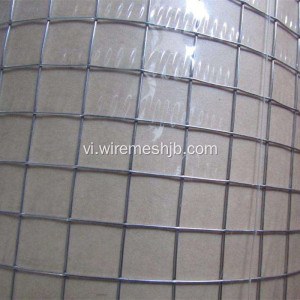 1 &#39;&#39; x 1&#39;&#39;Galvanized hàn dây lưới cuộn